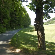 Bildbaum in der Moosau