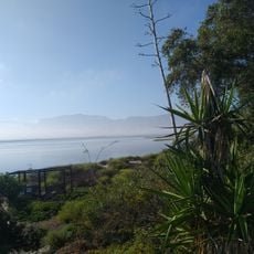 Estero Punta Banda