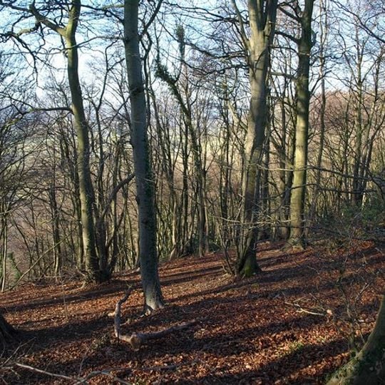 Wotton Hill SSSI