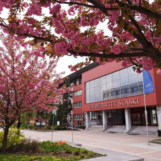 University of Silesia in Katowice