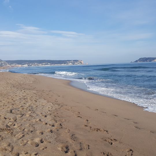 Platja de la Gola del Ter