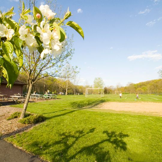 Whippany
