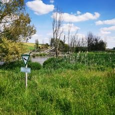 Naturdenkmal Feuchtgebiet an der Riedquelle
