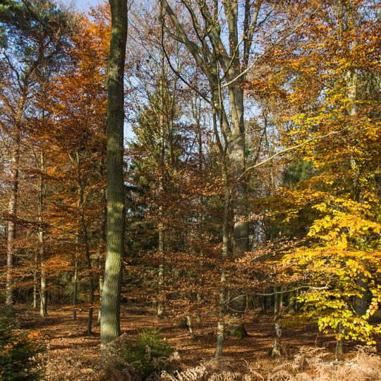 Planken und Schletauer Post