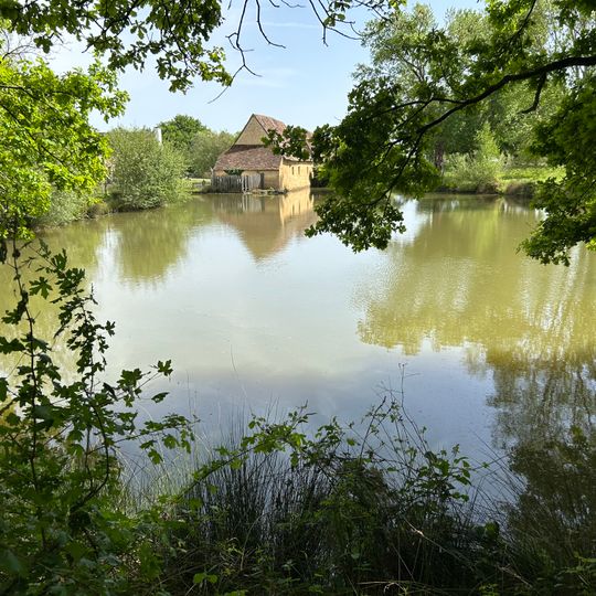 Domaine des Mésangères