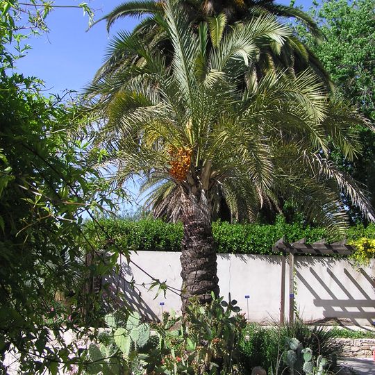 Giardino botanico Borély di Marsiglia