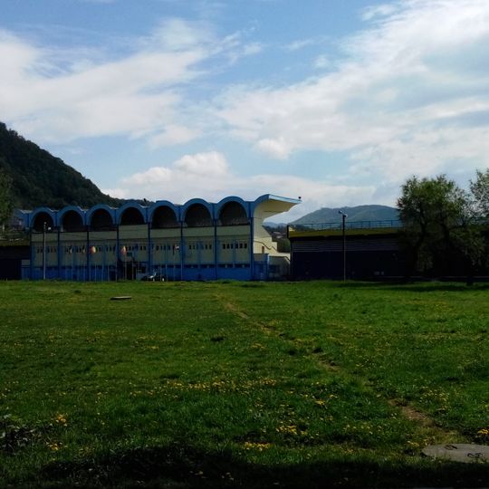 Stadionul Viorel Mateianu