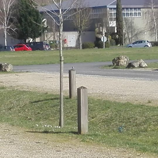 Camping Municipal Les Tuileries