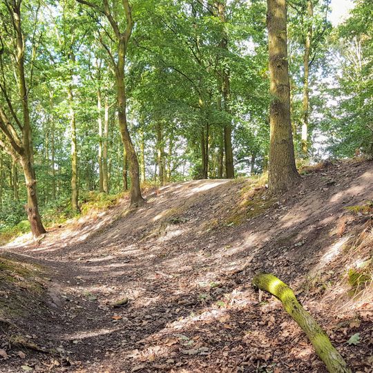 Roman Ridge: section 520yds E of Dyson's Cottage to Long Plantation