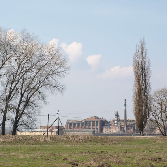 European beech, Lityn raion