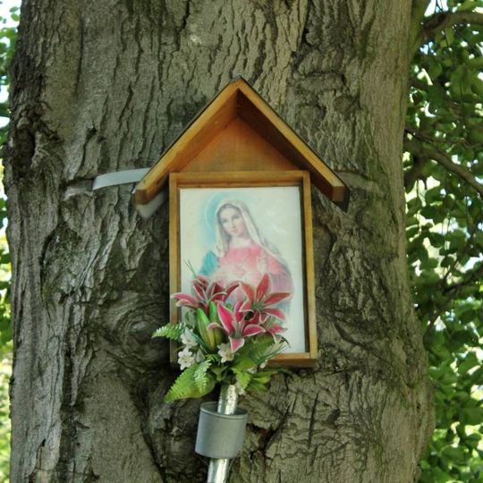 Obrázek západně od Nové Hradečné