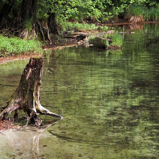 Salemer Moor mit angrenzenden Wäldern und Seen