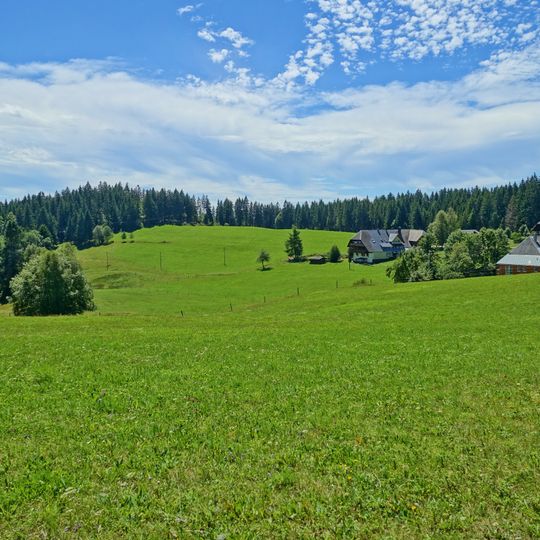 Rüttewies-Scheibenrain