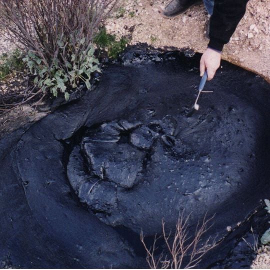 McKittrick Tar Pits