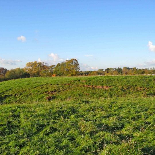 Medieval settlement immediately surrounding St Michael's Church