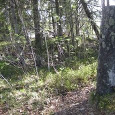 Røykjenessteinen, Vik