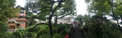 Panoramik Görünüm 2