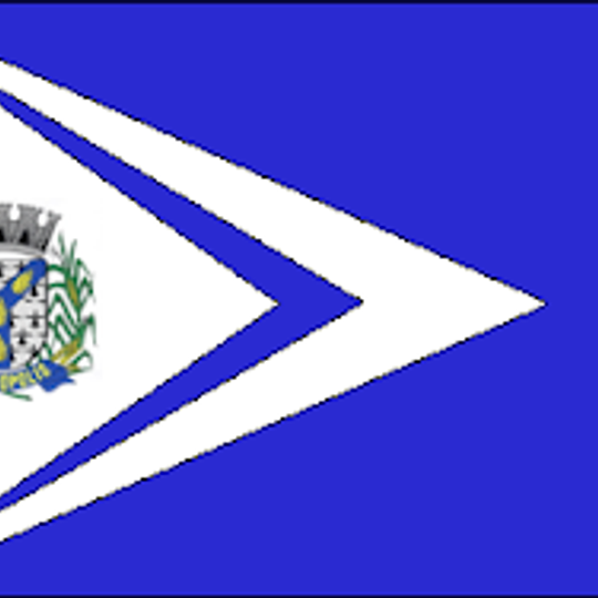 Delfinópolis