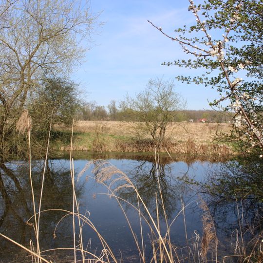Malá Arazimova tůň