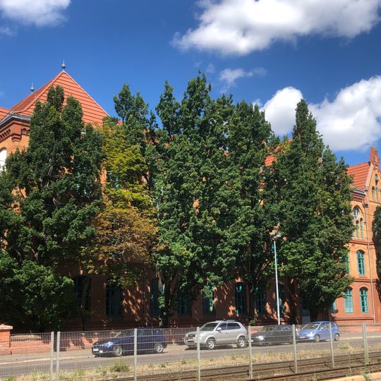 Integrierte Gesamtschule Willy Brandt Magdeburg