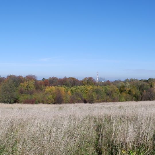 Zespół przyrodniczo-krajobrazowy "Sarni Stok"