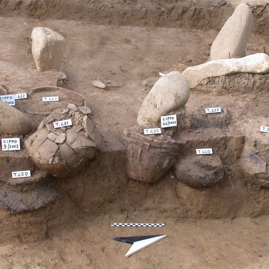 Necropoli di Casinalbo