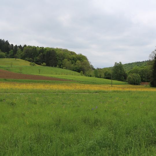 LSG 'Tiefenbachtal' vom 15.10.1958