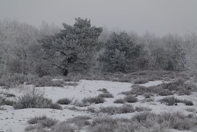 Winter 1