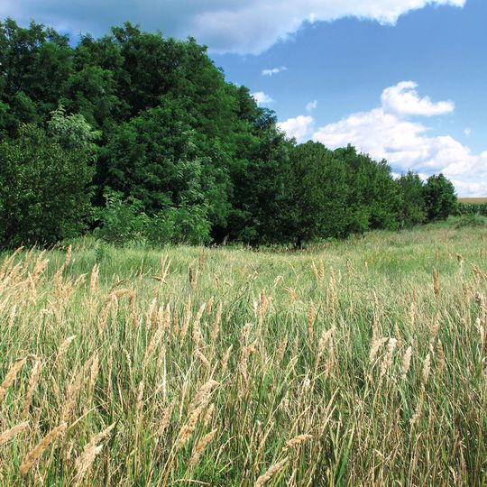 Urochysche Balka Durna Reserve