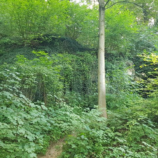 Groeve het Paradijsbergske III