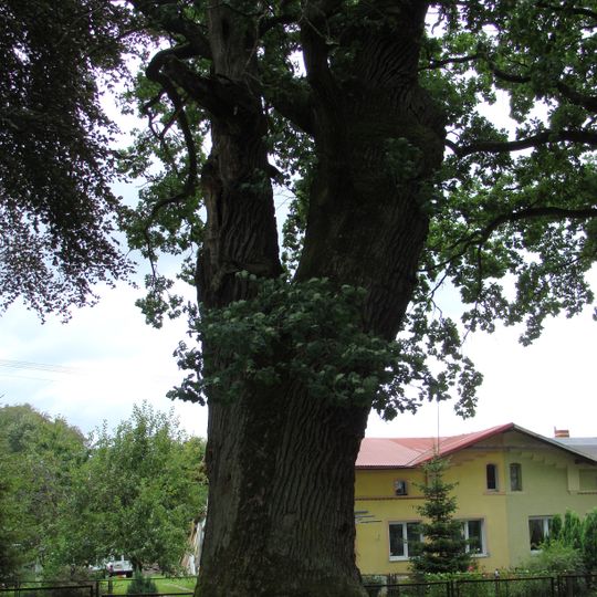 Trzygłów, West Pomeranian Voivodeship