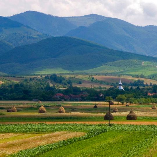 Ferice Plai și Hoancă