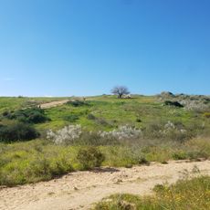 גן לאומי גבעות הכורכר נס ציונה
