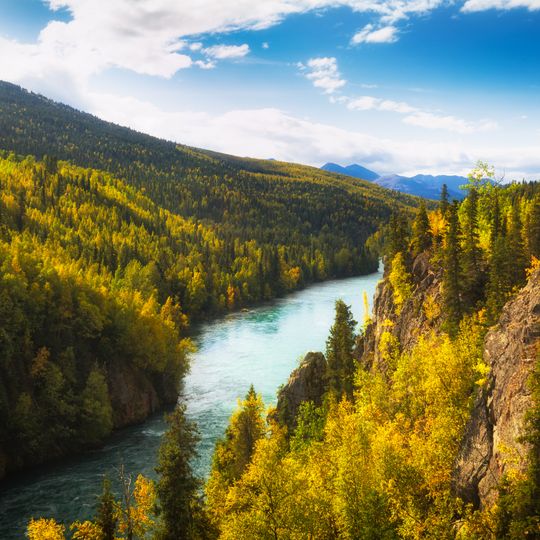 Refuge faunique national de Kenai