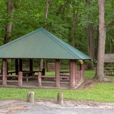 Ellendale State Forest Picnic Facility