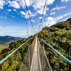 Parc National de Nyungwe