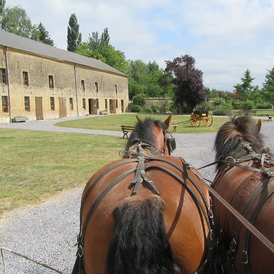 Balades En Calèche : Les Sabots Du Relais