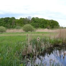 Dannauer See und Umgebung