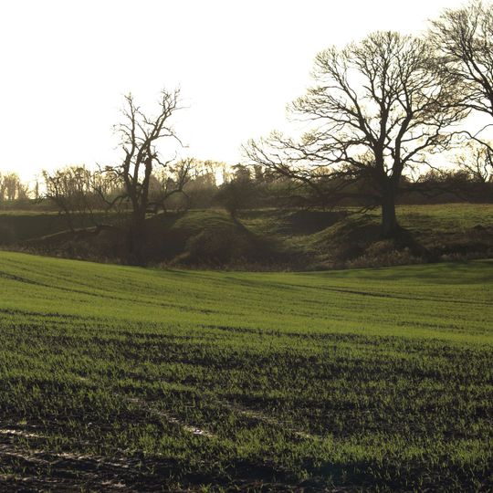 Low Buston medieval settlement, 231m south east of Low Buston Hall