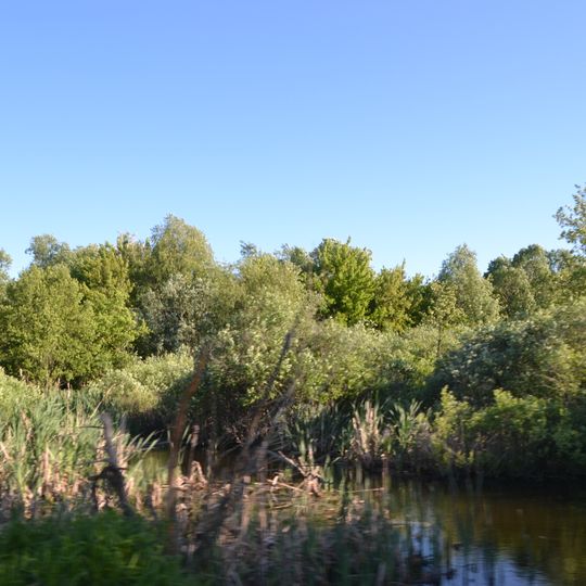 Ukraiinsko-Berezivskyi zakaznyk