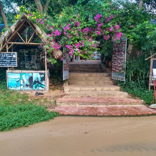 Vita Garden Mini-Zoo