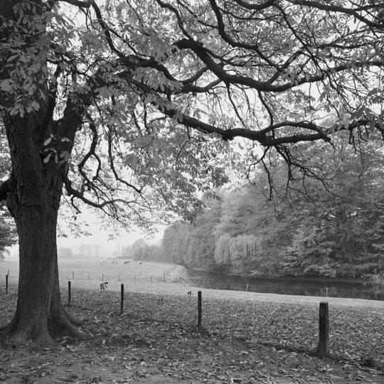 't Suideras: parkaanleg