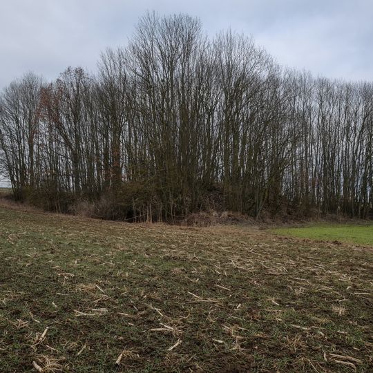 Burgstall Rappershausen