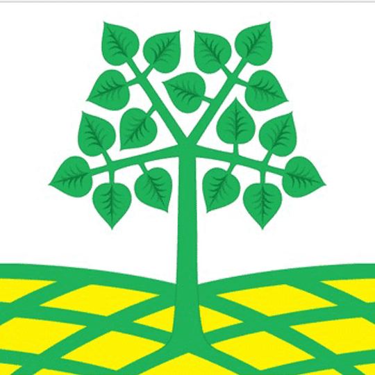 Lesnoy Gorodok urban settlement