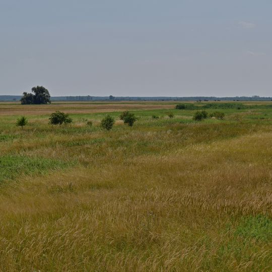 Bewahrungszone Waasen-Hanság