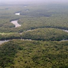 Salonga National Park