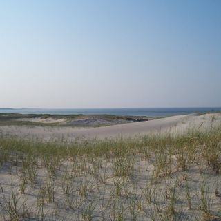 Crane Beach Dunes