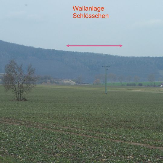 Burgstelle Schlösschen