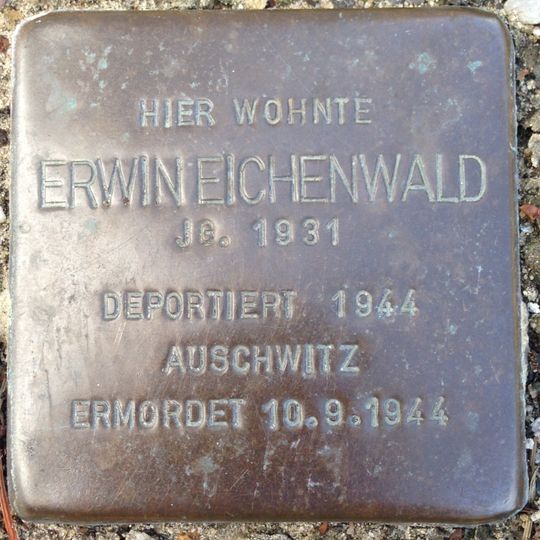 Stolperstein em memória de Erwin Eichenwald