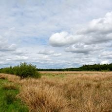 Moore der Breitenburger Niederung
